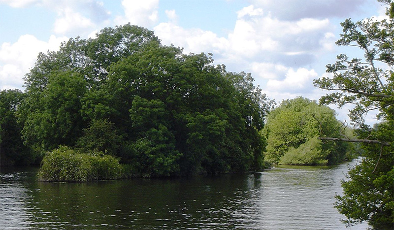 Appletree Eyot, River Thames