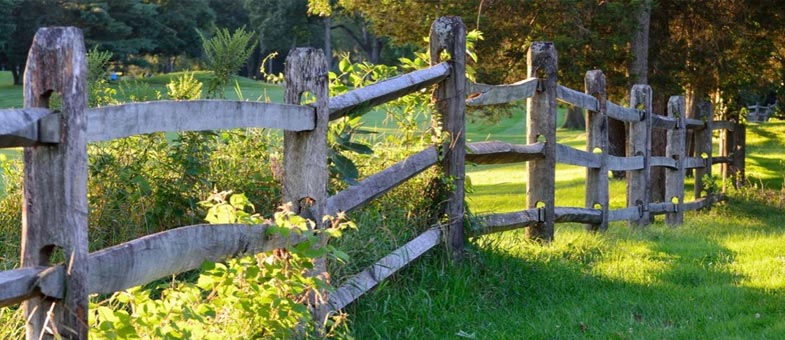 Boundary Fence